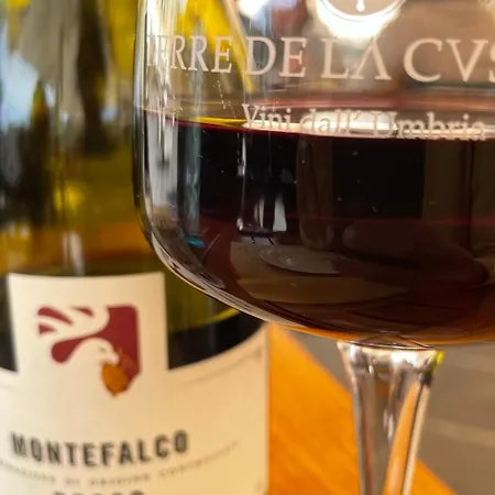 Сasa de vacaciones Mario House